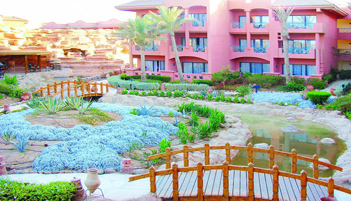 Parrotel Aqua Park Resort - Foto 5