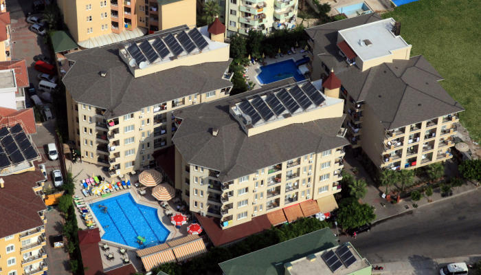 Kleopatra Royal Palm - Foto 2