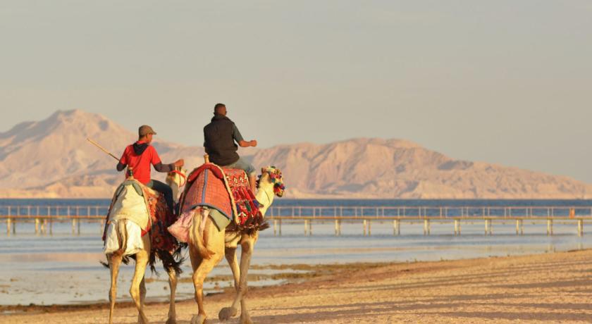 Regency Plaza Aqua Park & Spa Resort - Foto 1