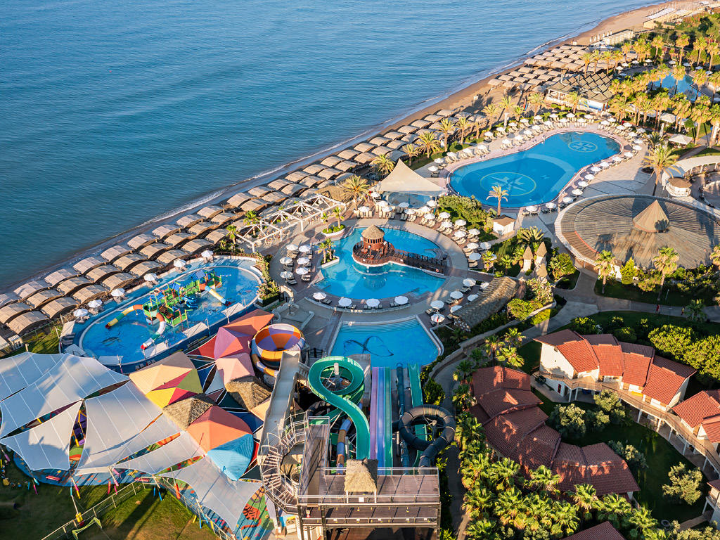 Papillon Belvil - Foto 2