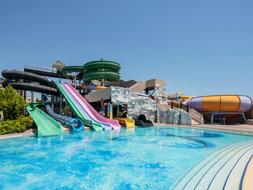 Papillon Belvil - Foto 3