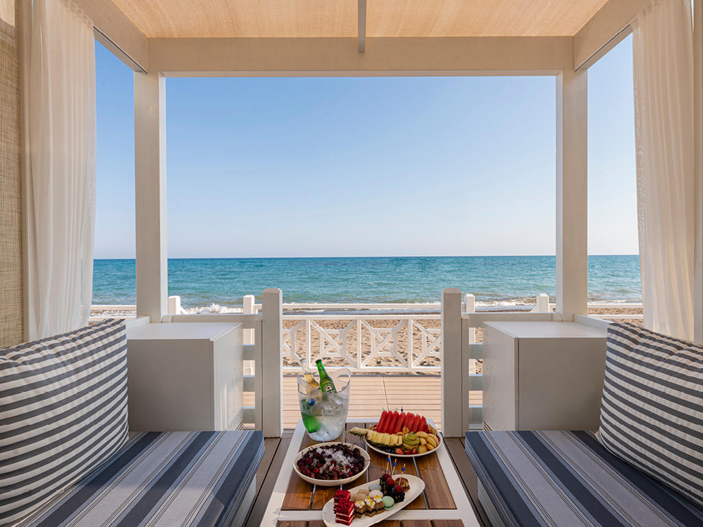 Papillon Belvil - Foto 4