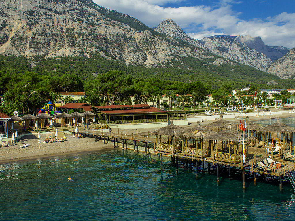 Crystal Flora - Foto 2