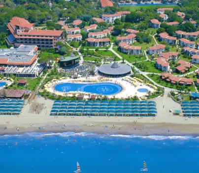 Papillon Belvil - Foto 1